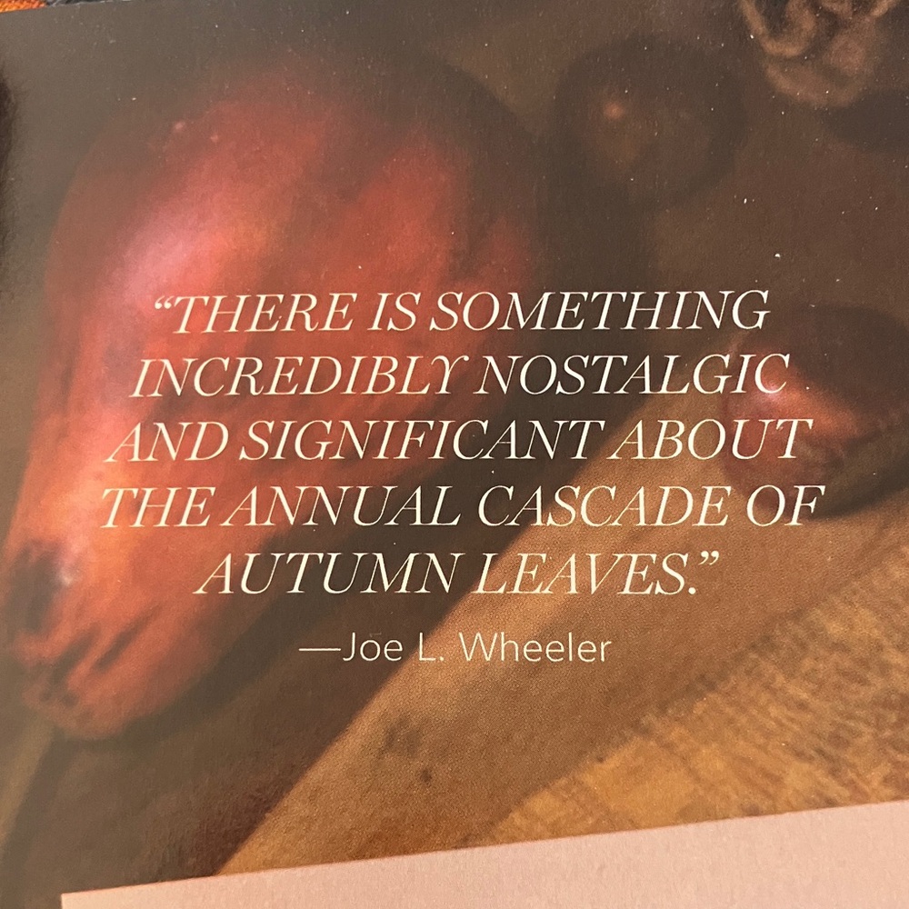 Victoria Magazine Autumn Issue - Picture 2 of 9